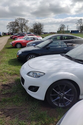 IMG_20230402_124632992