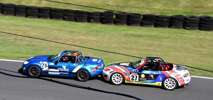 HelpingHand_DSC_1780