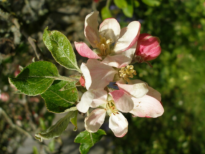 P5070001