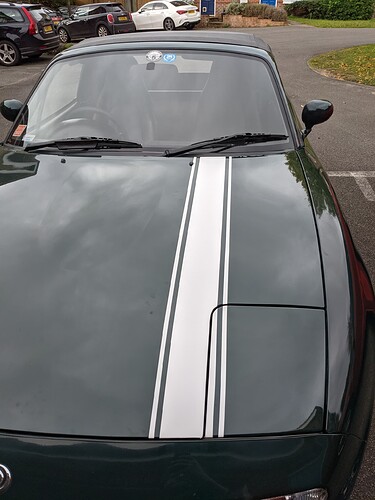 PXL_20211106_111416393