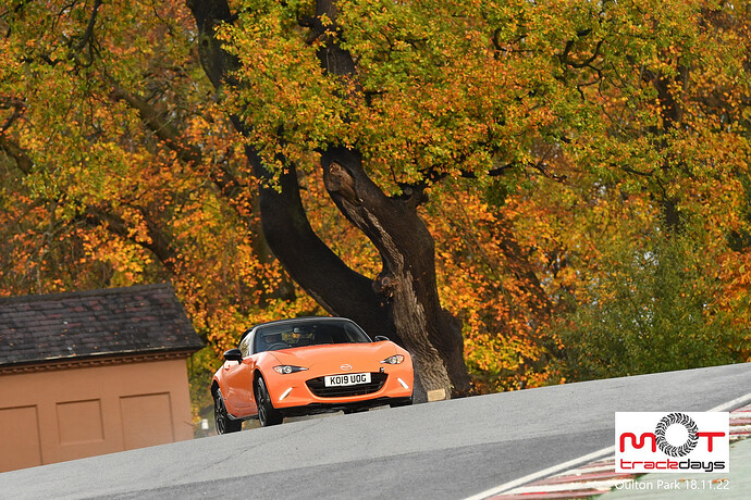 509275041_10161925447200000_8641751211099373839_n