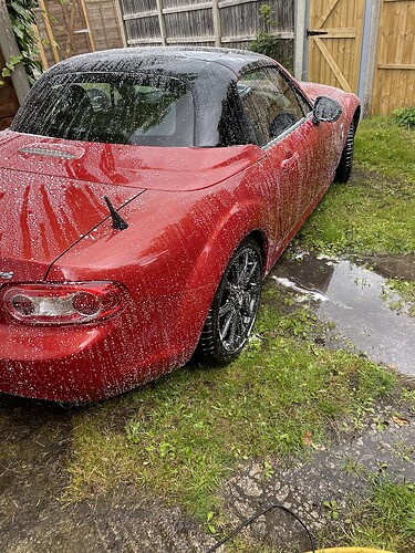 suds_IMG_2894