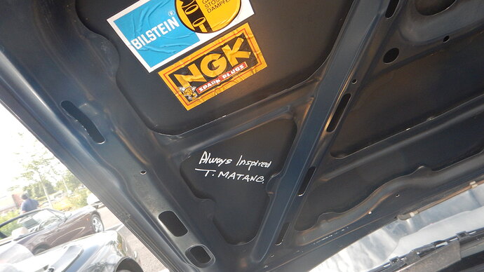 48740256927_4b0667ae01_k