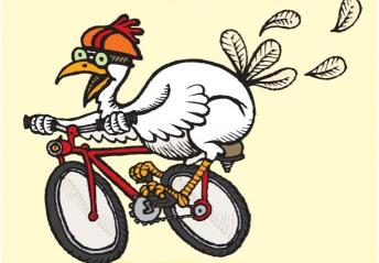 chicken-on-bike1