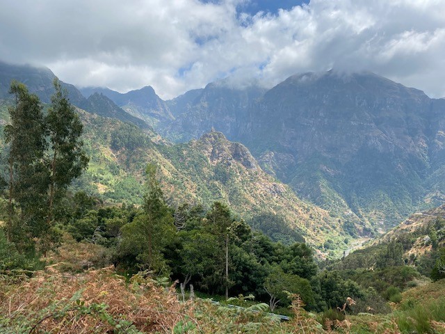 Madeira4