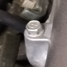 Bolt 5 new
