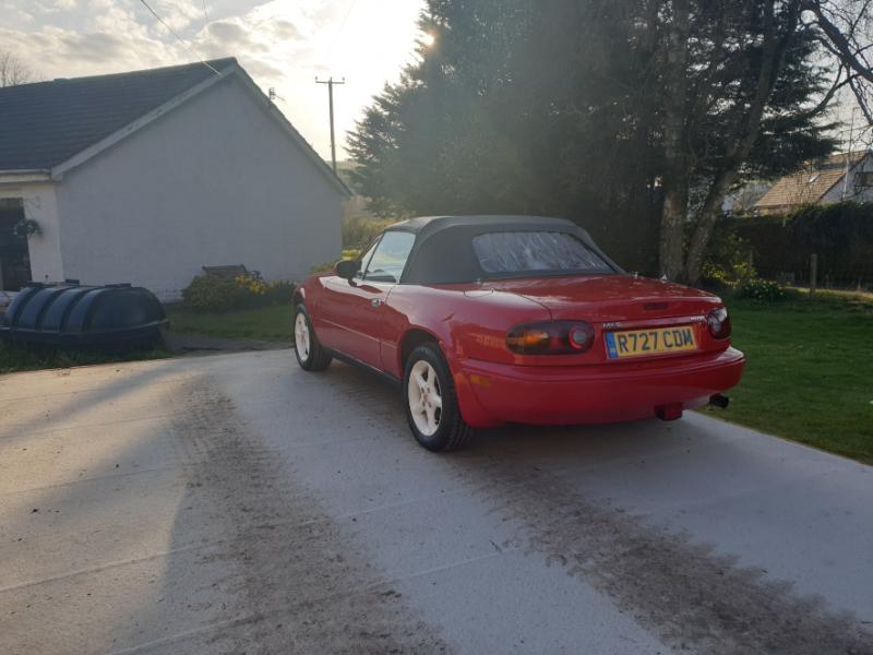 Mindy on garage base - pass side2.jpg