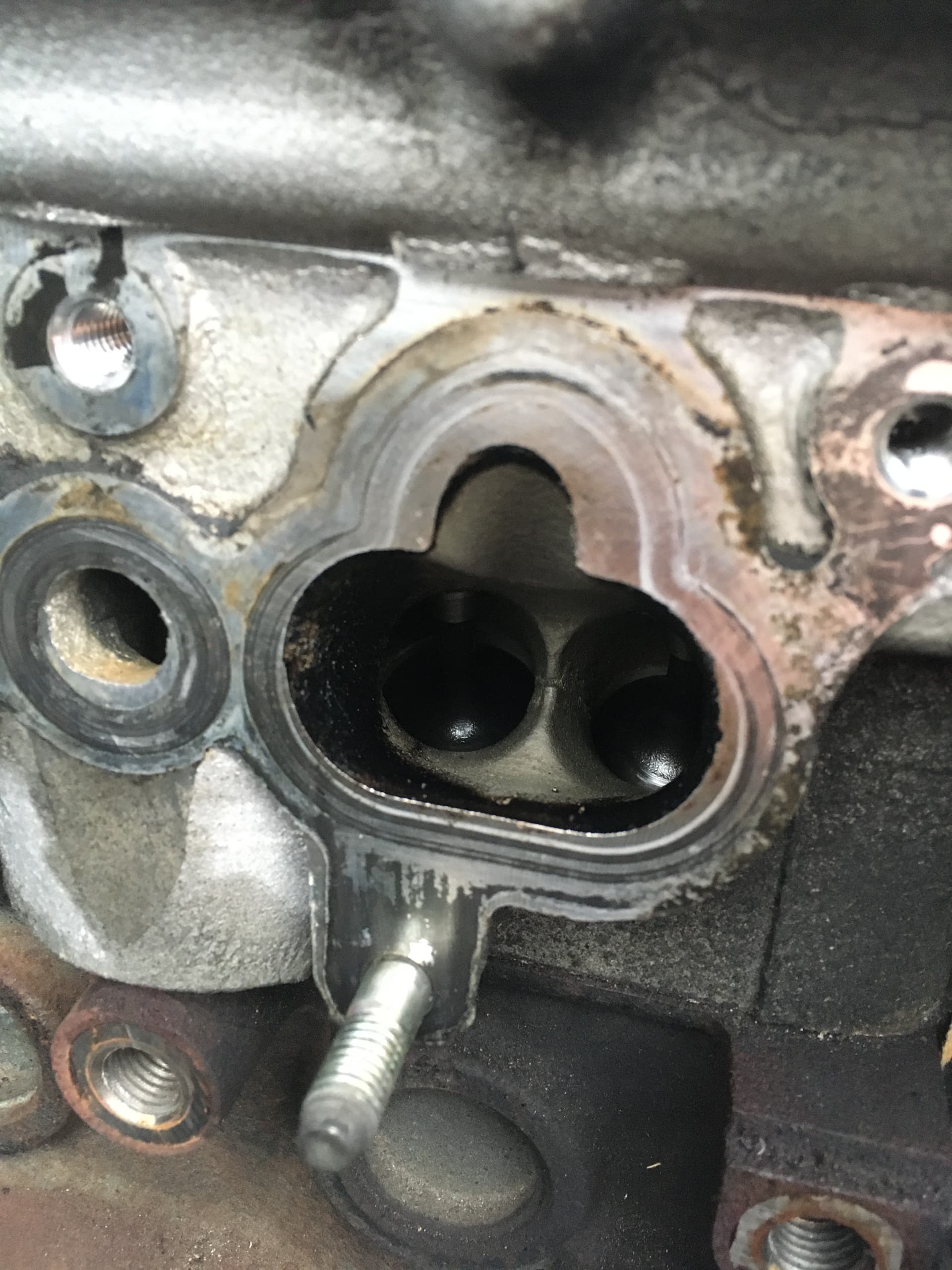 [1993 NA 1.6 B6P] Oil deposits inside fuel injector housing Is my