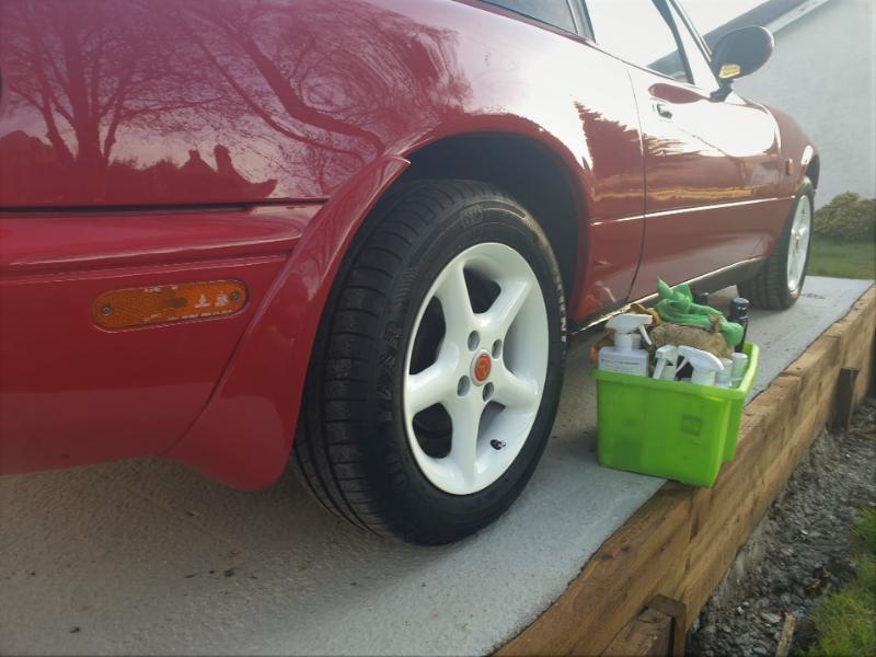 Mindy on garage base - drivers side rear wheel shiney shiney2.jpg