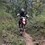 Treps